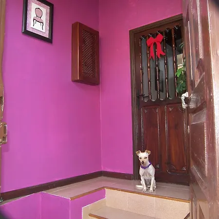 Casa Luly