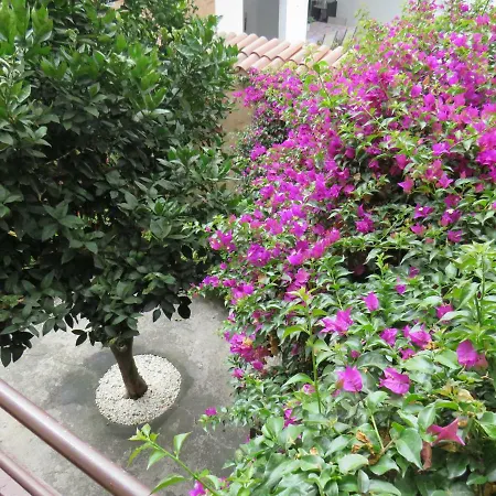 Villa Casa Luly *